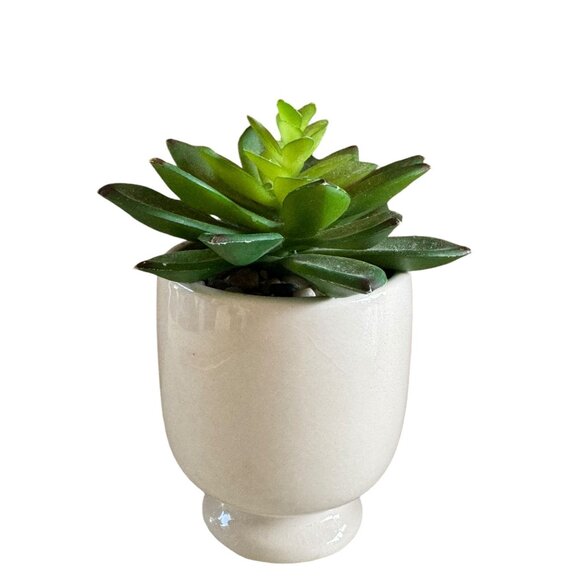 Ceramic Face Planter With Artificial Succulent Plant - Picture 3 of 5
